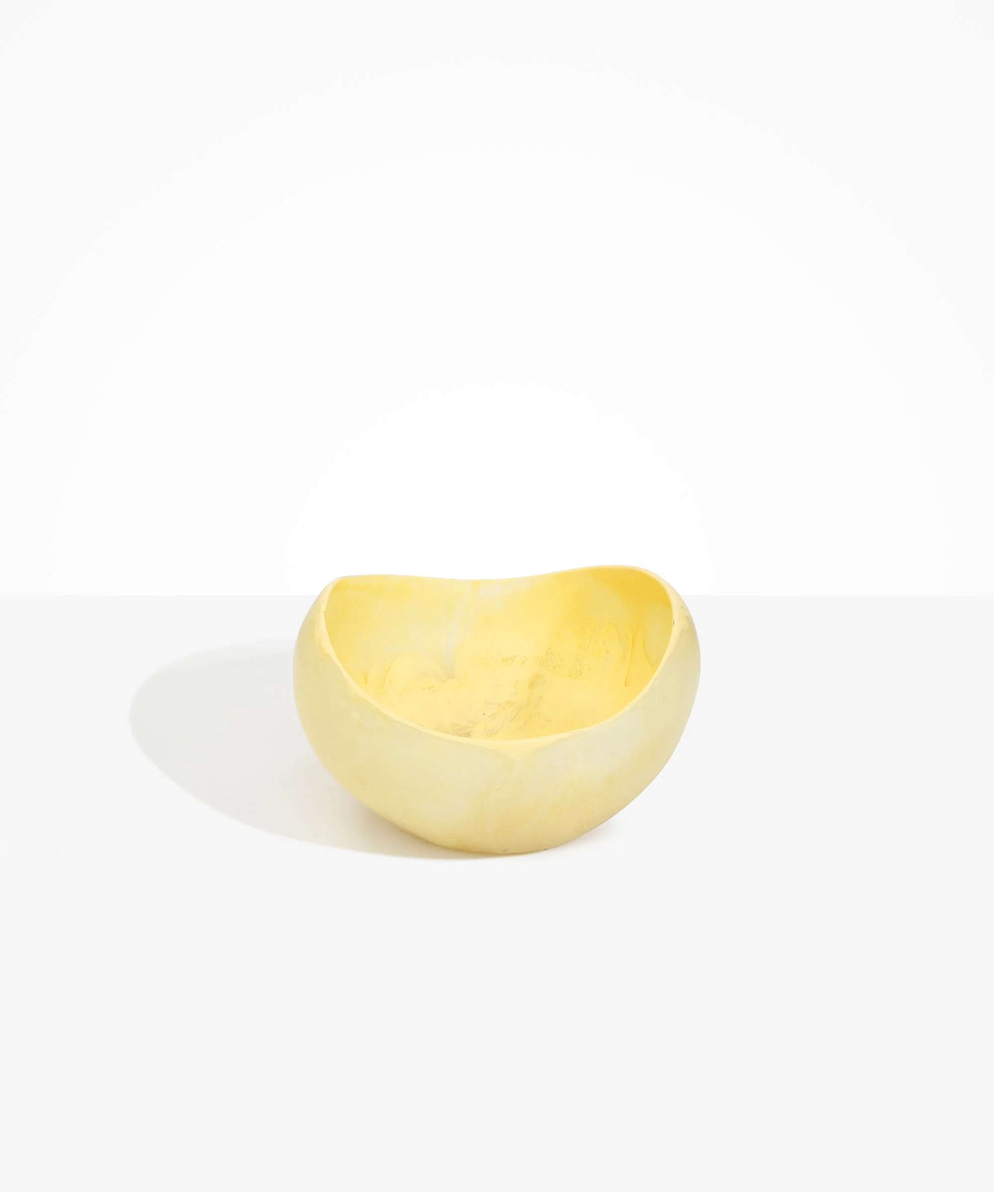 Large Beetle Bowl - Image 38